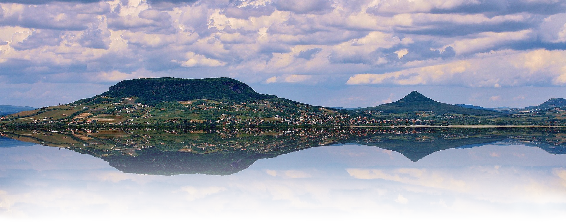 header image